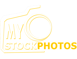 My Stock Photos