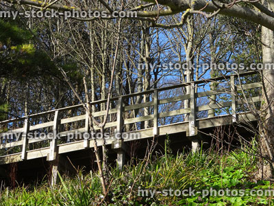 Stock image of wooden aerial walkway through woodland, tree-top pathway