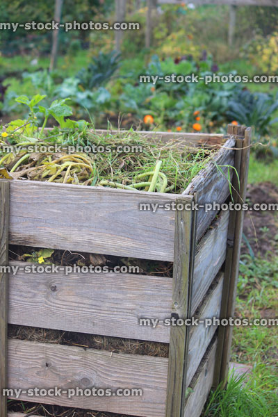 Stock image of wooden compost heap, compost bin converter, allotment / vegetable garden waste
