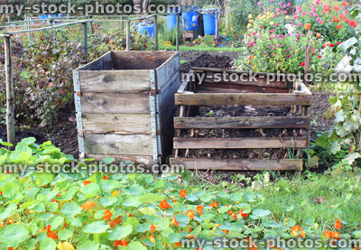 Stock image of wooden compost heaps, compost bin converters, allotment / vegetable garden waste