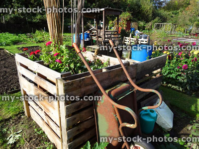 Stock image of wooden compost heap, compost bin converter, allotment / vegetable garden waste, rusty metal wheelbarrow