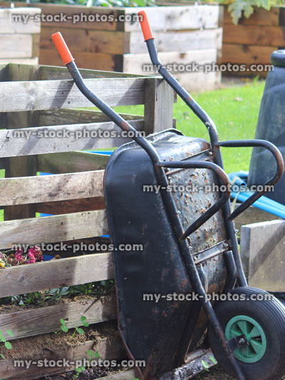 Stock image of wooden compost heap, plastic compost bin, metal wheelbarrow, allotment / vegetable garden raised beds