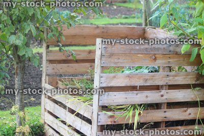 Stock image of wooden compost heap, compost bin converter, allotment / vegetable garden waste