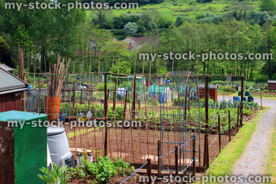 Stock image of allotment vegetable garden being planted in the spring