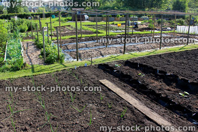 Stock image of allotment vegetable garden with freshly dug over soil