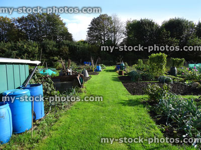 Stock image of allotment vegetable garden with plastic water butts / compost heaps / bins