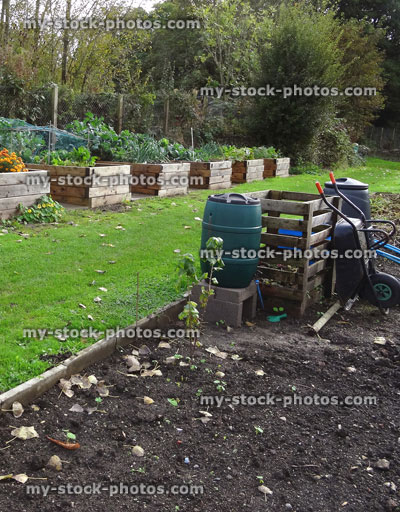Stock image of wooden raised beds in allotment vegetable garden, water butt, compost heap, soil