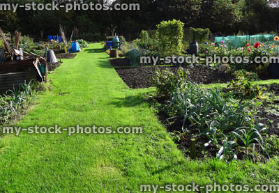 Stock image of allotment vegetable garden, plots, plastic water butts / compost heaps / bins
