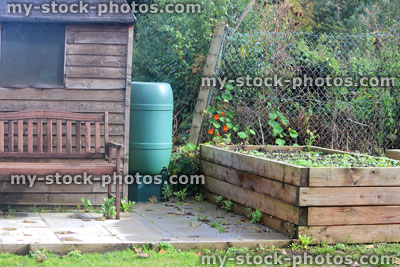 Stock image of wooden raised beds in allotment vegetable garden, shed, bench, water butt