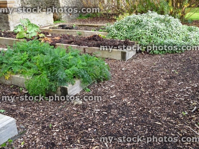 Stock image of raised garden beds made from wooden railway sleepers