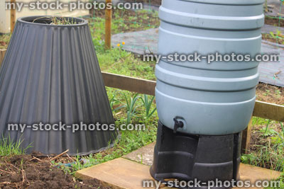 Stock image of grey plastic water butt container / stand, allotment vegetable garden, compost bin