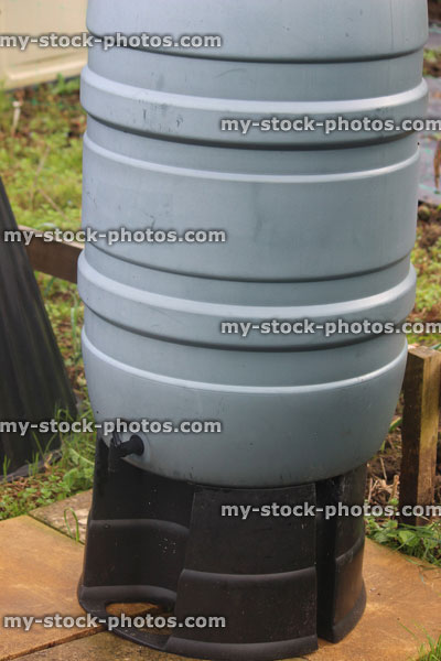 Stock image of grey plastic water butt container on stand, allotment vegetable garden