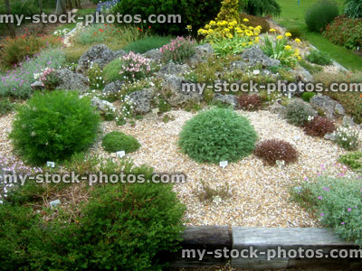 Stock image of raised Alpine garden rockery, with tufa rocks, flowers