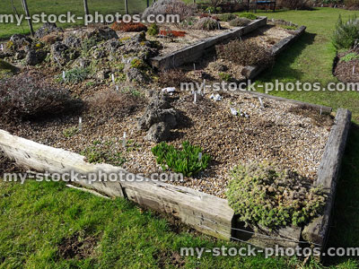 Stock image of Alpine garden with railway sleepers, tufa rocks, low growing plants
