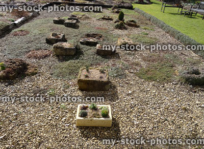 Stock image of concrete sink gardens / stone troughs, Alpine plants and gravel