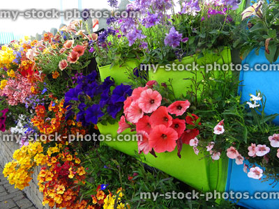 Stock image of rainbow annual flowers growing in fabric hanging planters
