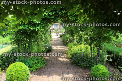 Stock image of metal pergola garden archway tunnel, espalier apple trees, buxus balls