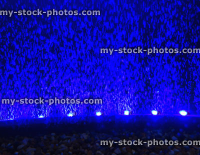 Stock image of aquarium fish tank with bubble wall air stone / blue lights