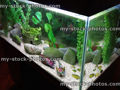 Stock image of planted fish tank with plastic aquarium plants, snails