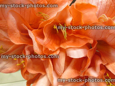 Stock image of artificial plastic lilies / silk lily flowers, pink / peach
