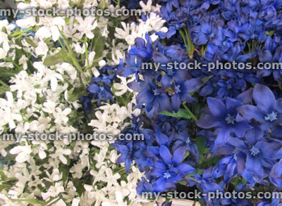 Stock image of artificial plastic / silk daisies / white, blue daisy flowers