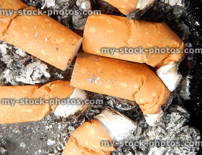 Stock image of cigarette butts / fag ends in dirty ash tray