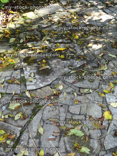 Stock image of crazy paving garden patio, covered in autumn leaves / fall