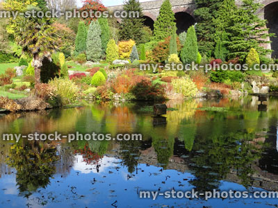 Stock image of rockery garden, dwarf conifers, autumn fall colours, pond reflections