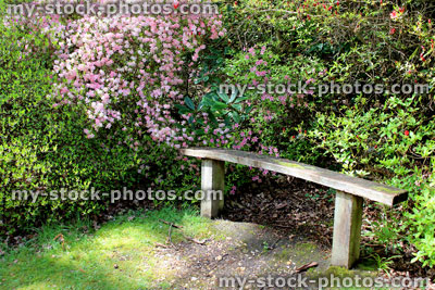 Stock image of formal garden with azaleas shrubs and bench in spring 