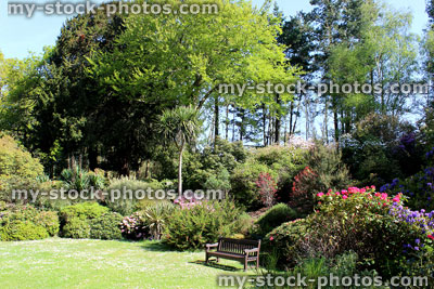 Stock image of bench on lawn in rock garden, flowers, shrubs