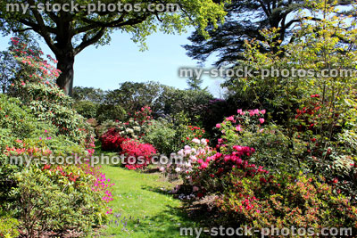 Stock image of lawn pathway through flower beds in small garden
