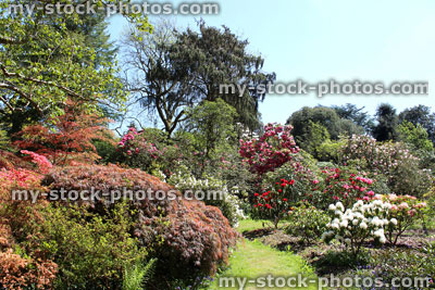 Stock image of lawn pathway through flower beds in small garden