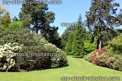 Stock image of beautiful landscaped garden, with flower beds, shrub borders, trees, lawn