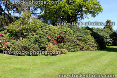 Stock image of beautiful landscaped garden, with flower beds, shrub borders, trees, lawn