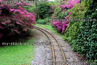 Stock image of miniature gauge railway track running through landscaped gardens with azaleas