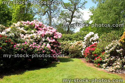 Stock image of garden with flowers, shrubs, trees, lawn and pathway