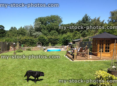 Stock image of back garden lawn, summer house, timber decking, black dog, paddling pool