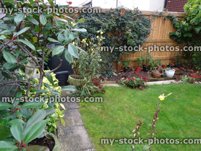 Stock image of small back garden, lawn, concrete paving slabs, wooden featherboard fence