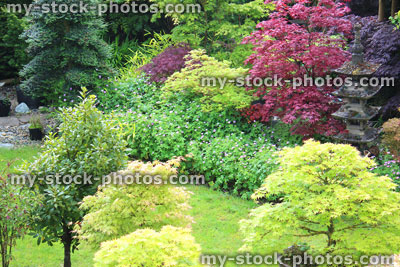 Stock image of looking down on Japanese garden, with maples, bonsai trees