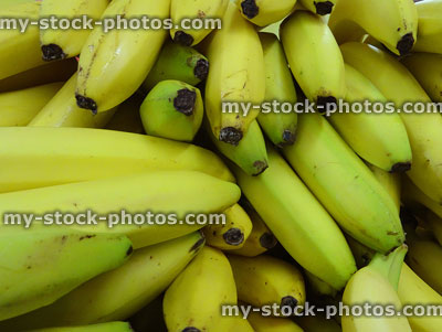 Stock image of bunches of unripe / ripe bananas, green and yellow