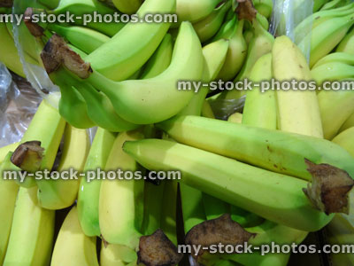 Stock image of bunches of unripe / ripe bananas, green and yellow