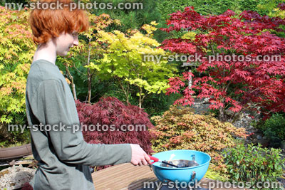Stock image of boy lighting portable charcoal barbecue / BBQ in garden