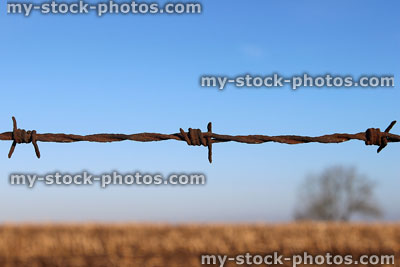 Stock image of rusty barbed wire fence against blue sky / farm field