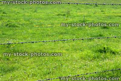 Stock image of barbed wire fence next to field on farm