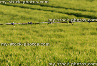Stock image of barbed wire fence next to field on farm