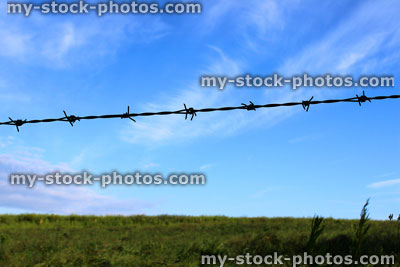 Stock image of barbed wire against blue sky / green field