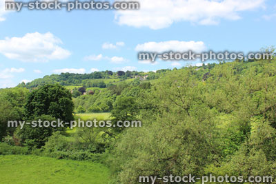 Stock image of summer countryside views of trees, fields and hedgerows, blue sky
