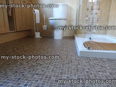 Stock image of bathroom / shower room with toilet, mosaic vinyl flooring