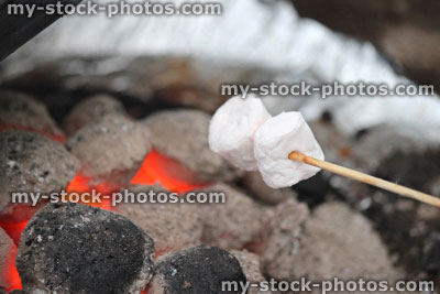 Stock image of marshmallows being toasted in fire / barbecue, toasting marshmallows