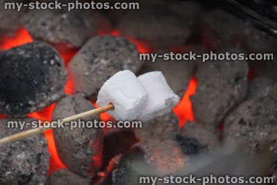 Stock image of marshmallows being toasted in fire / barbecue, toasting marshmallows